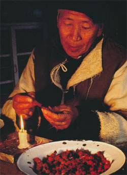 Tibetan Precious Pills